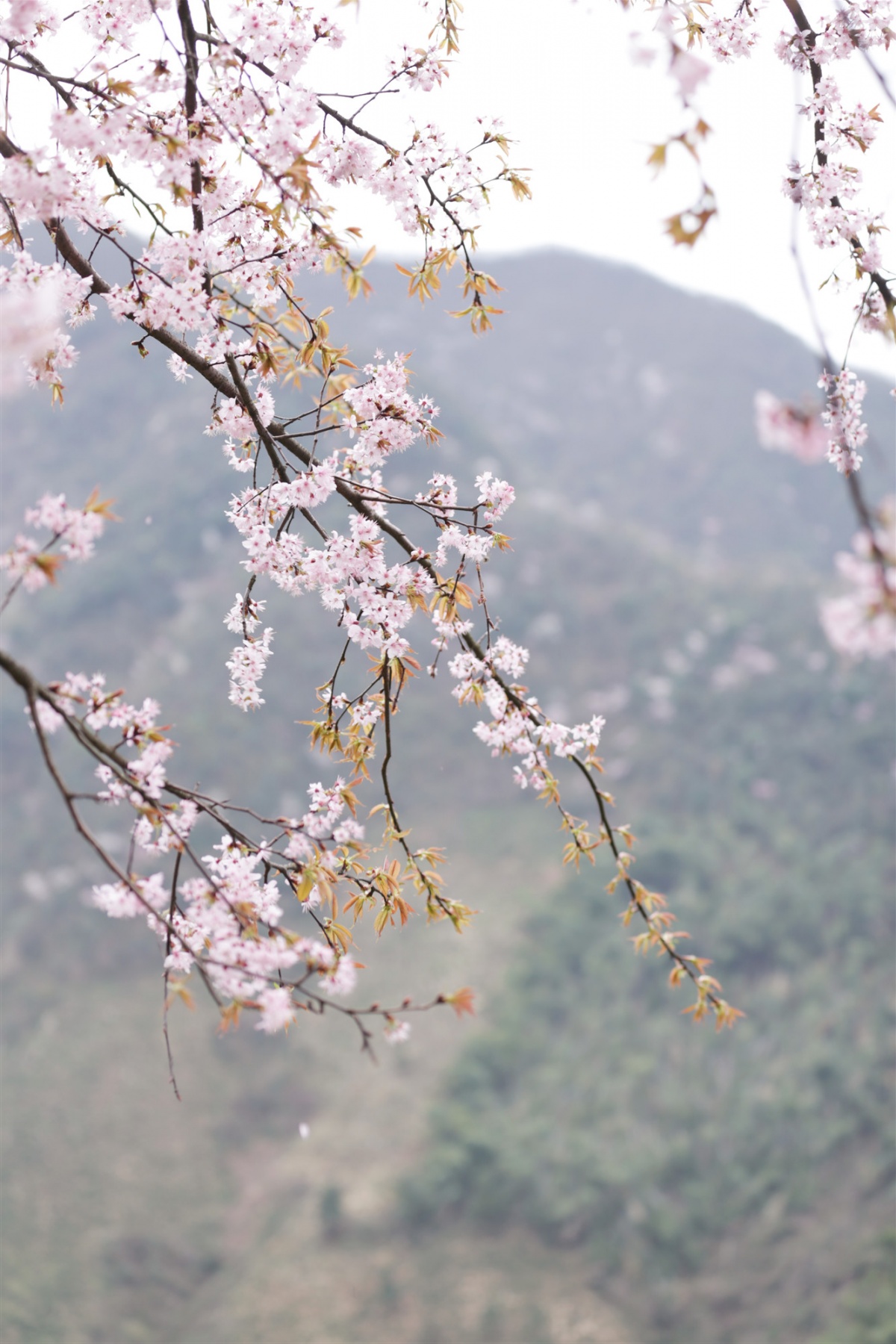 IMG_7220_副本.jpg