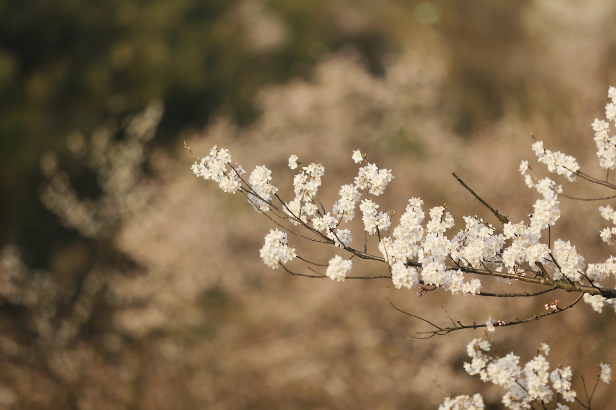 IMG_8160_副本.jpg